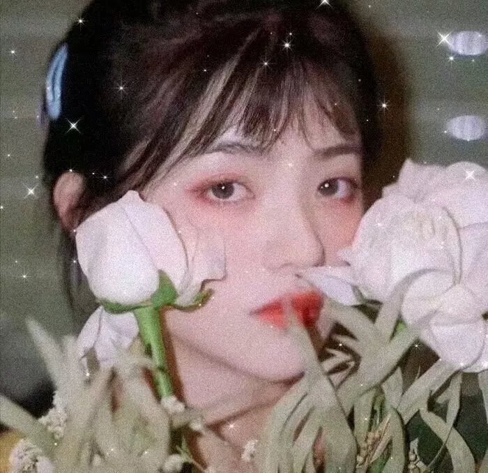 柞蚕